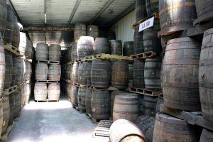 Belize Barrels of rum at the belize rum factory