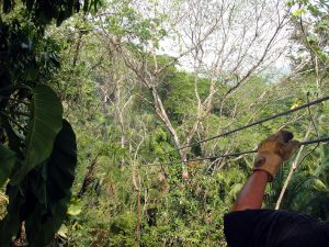 Belize Jungle Canopy tour cable