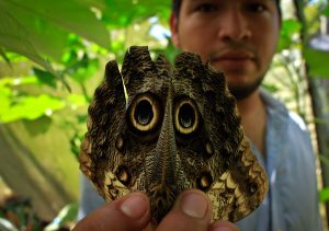 costa maya butterfly farm Excursion
