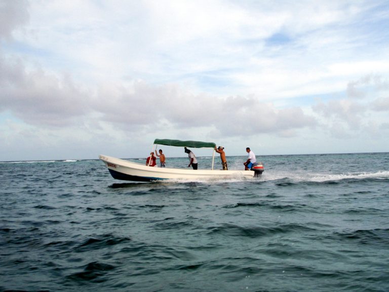 Costa Maya Snorkeling Charter Excursion Costa Maya Cruise Excursions