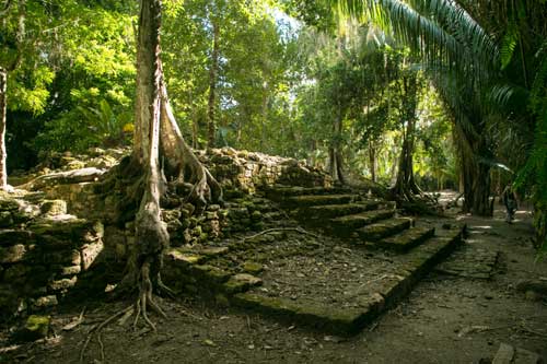 Costa Maya Chacchoben Excursion