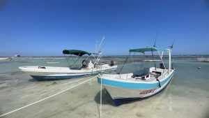 Costa Maya snorkeling charter