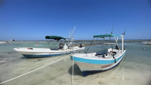 Costa Maya snorkeling charter