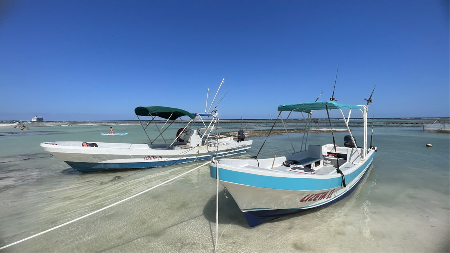 Costa Maya snorkeling charter